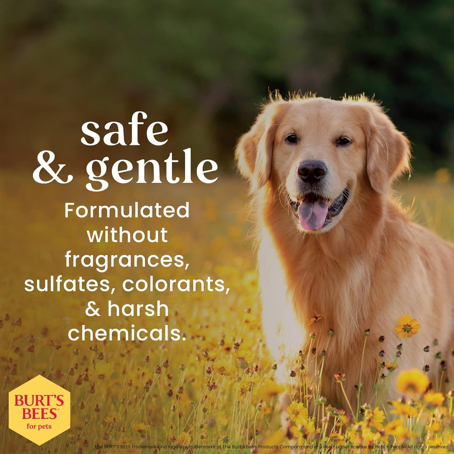 Burt'S Bees for Dogs Multipurpose Grooming Wipes, 50 Ct - Puppy and Dog Wipes for All Purpose Grooming - Burts Bees Wipes, Pet Wipes for Dogs, Puppy Wipes, Dog Face Wipes, Paw Wipes