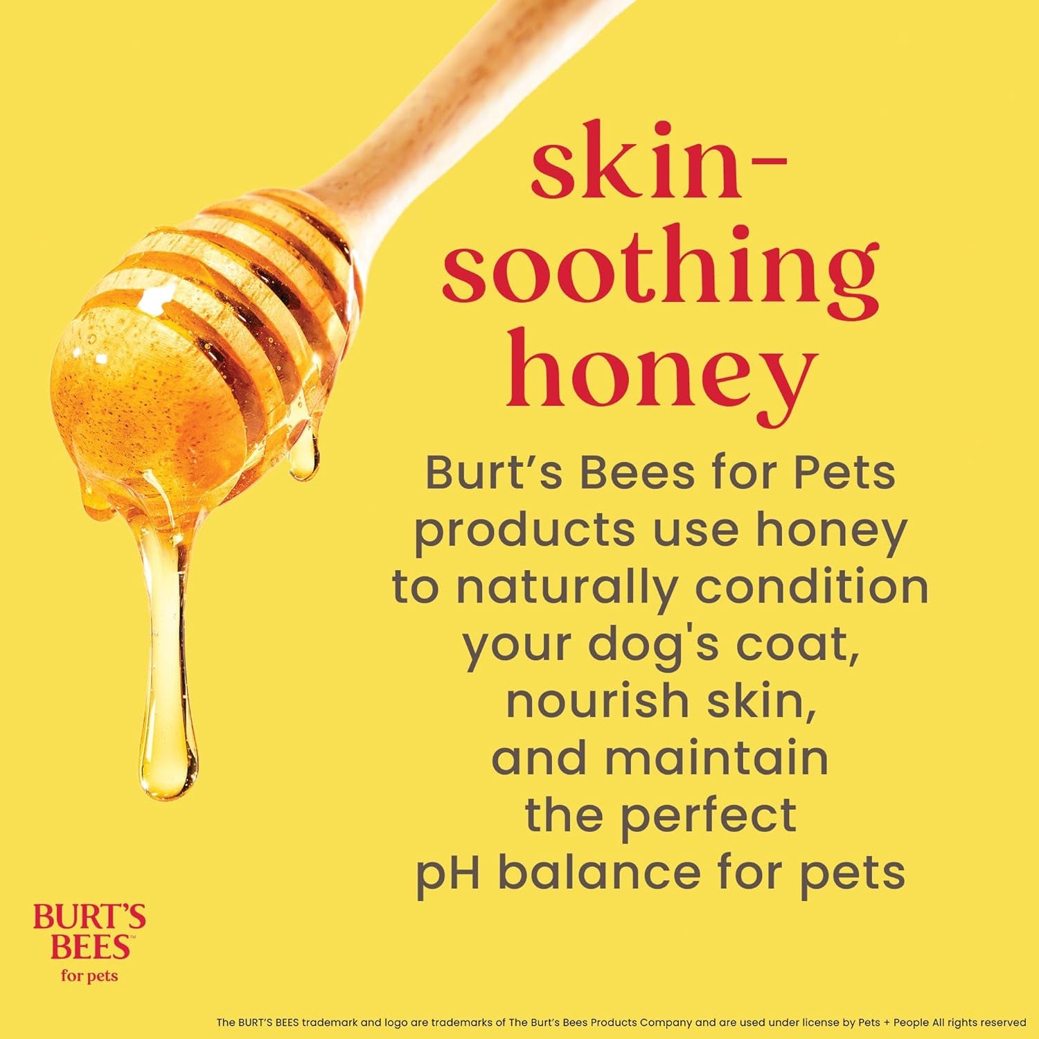 Burt'S Bees for Dogs Multipurpose Grooming Wipes, 50 Ct - Puppy and Dog Wipes for All Purpose Grooming - Burts Bees Wipes, Pet Wipes for Dogs, Puppy Wipes, Dog Face Wipes, Paw Wipes