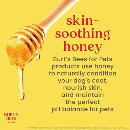 Burt'S Bees for Dogs Multipurpose Grooming Wipes, 50 Ct - Puppy and Dog Wipes for All Purpose Grooming - Burts Bees Wipes, Pet Wipes for Dogs, Puppy Wipes, Dog Face Wipes, Paw Wipes